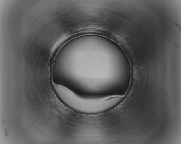 X0000101201164200807111002