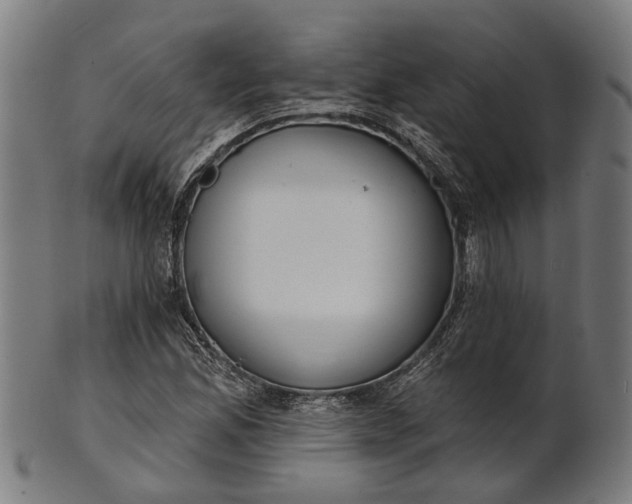 X0000101201165200807111002