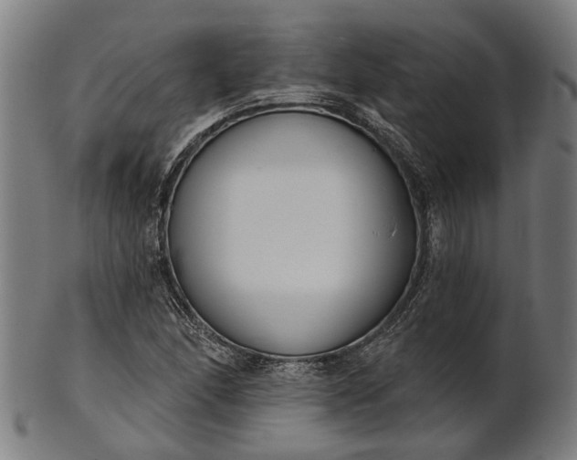X0000101201166200807111002