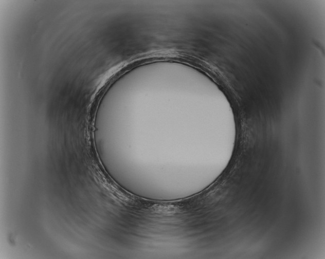 X0000101201168200807111002
