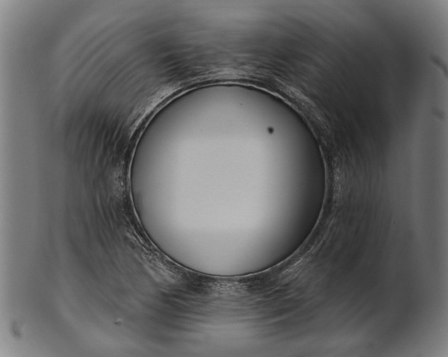 X0000101201170200807111002