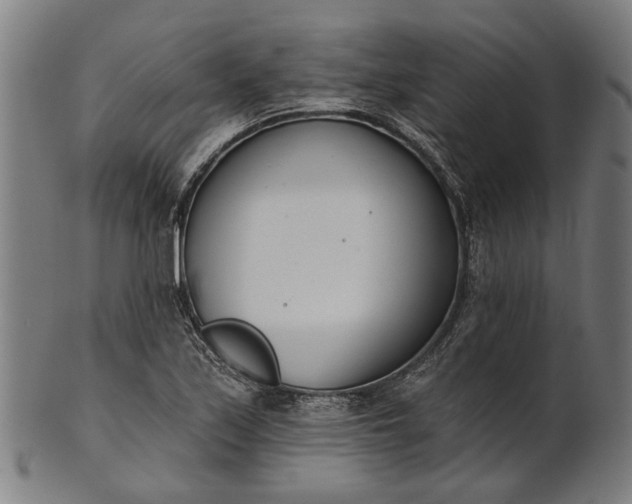 X0000101201171200807111002