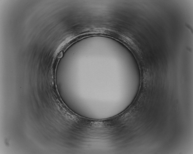 X0000101201172200807111002