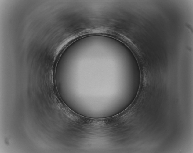 X0000101201174200807111002