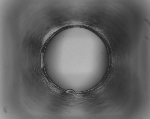 X0000101201175200807111002