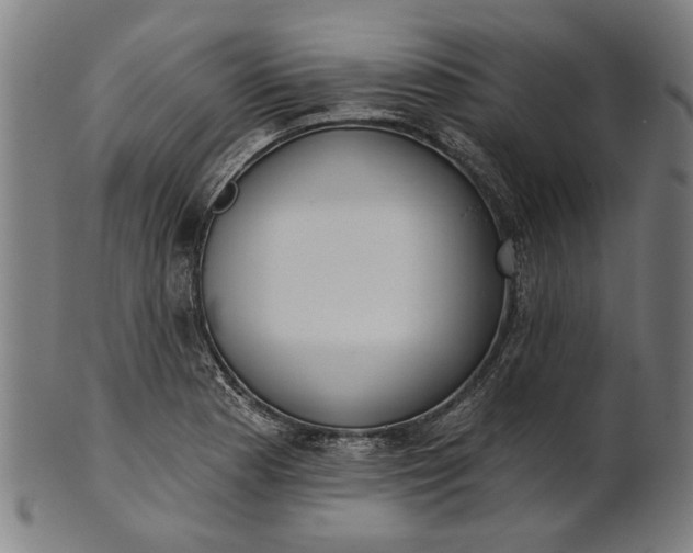 X0000101201177200807111002