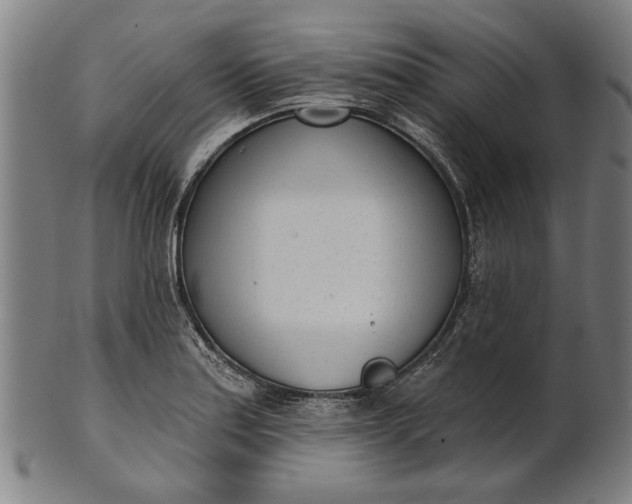 X0000101201179200807111002