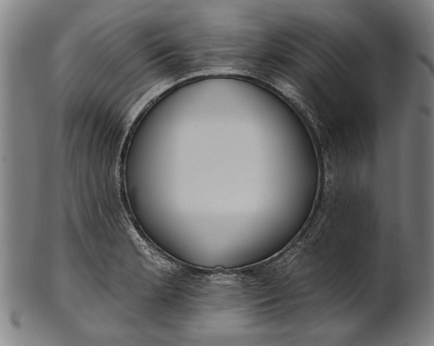 X0000101201181200807111002