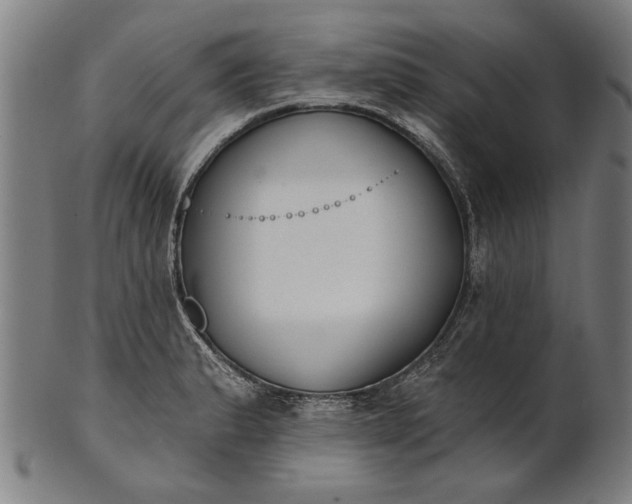 X0000101201183200807111002