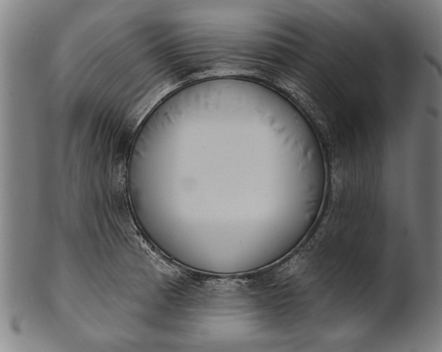 X0000101201185200807111001