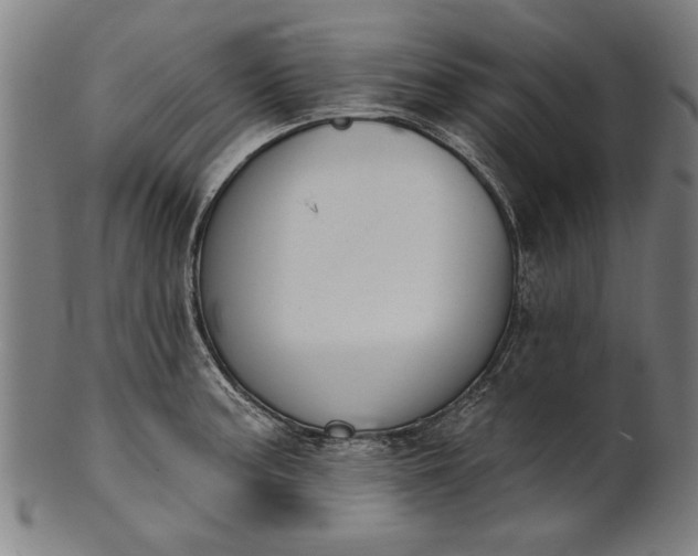 X0000101201187200807111001