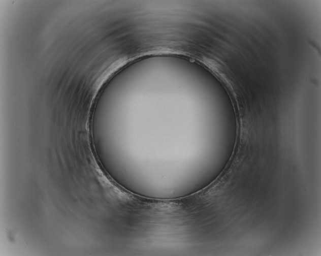 X0000101201189200807111001
