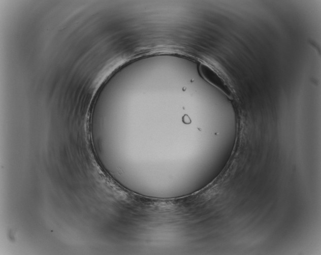 X0000101201190200807111001