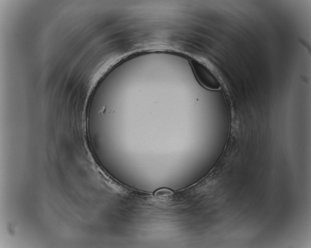 X0000101201191200807111001