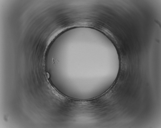 X0000101201192200807111001