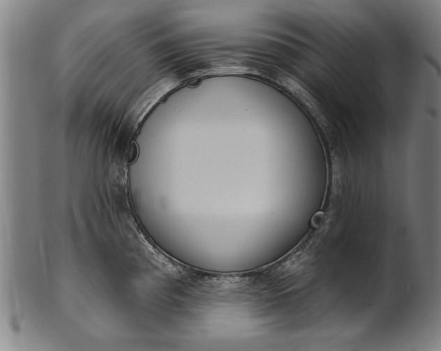 X0000101201193200807111001