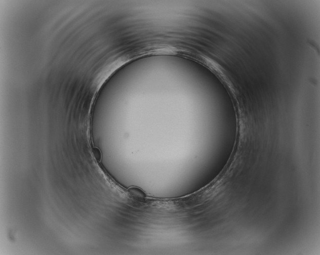 X0000101201194200807111001