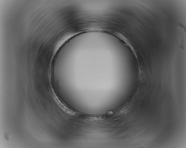 X0000101201195200807111001