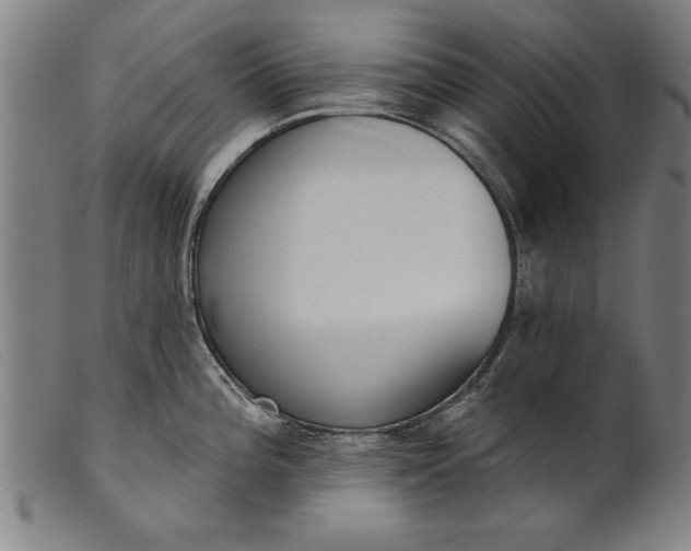 X0000101201196200807111001