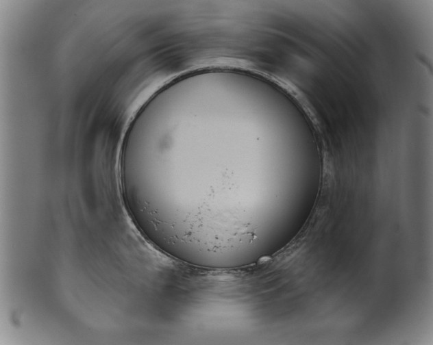 X0000101201199200807111001