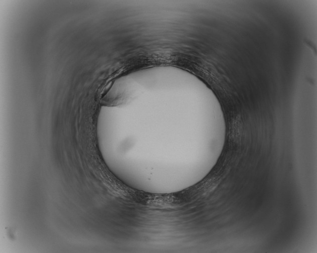 X0000101201201200807111000