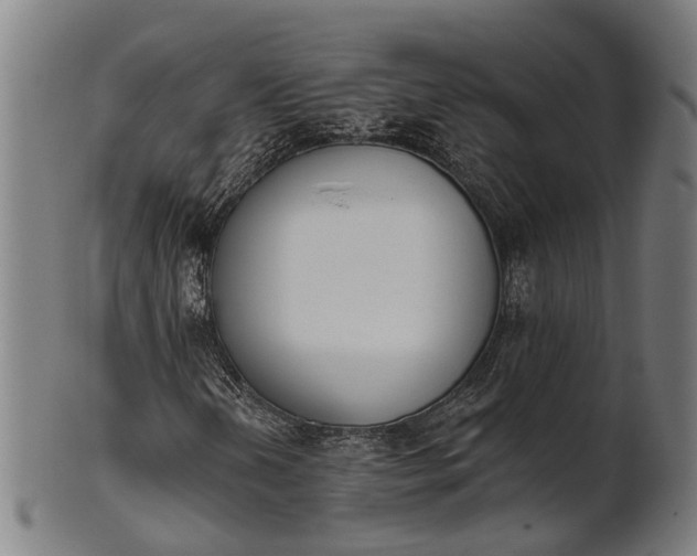 X0000101201202200807111000