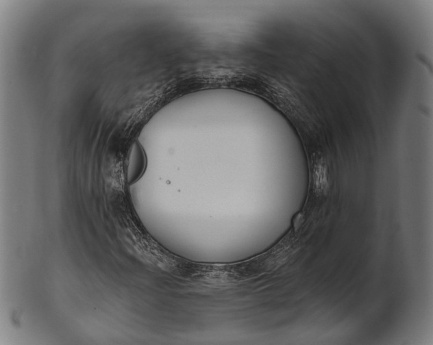 X0000101201204200807111000