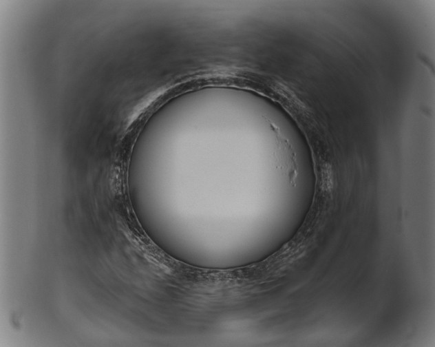 X0000101201208200807111000