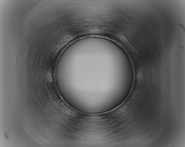 X0000101201209200807111001