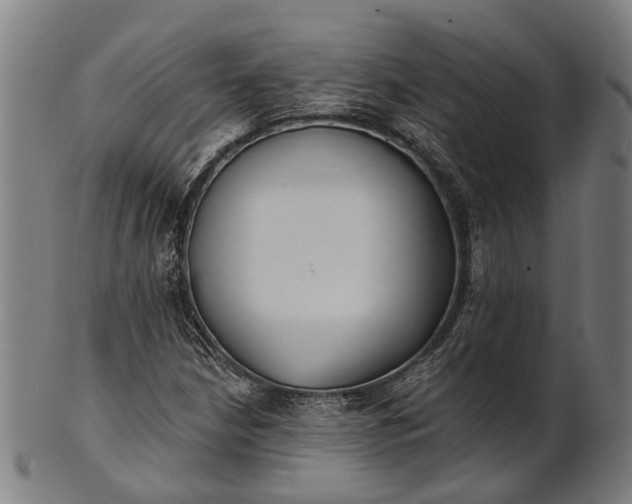 X0000101201210200807111001