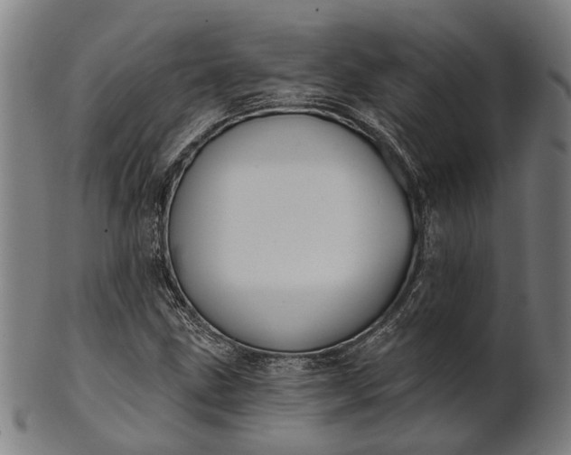 X0000101201211200807111001