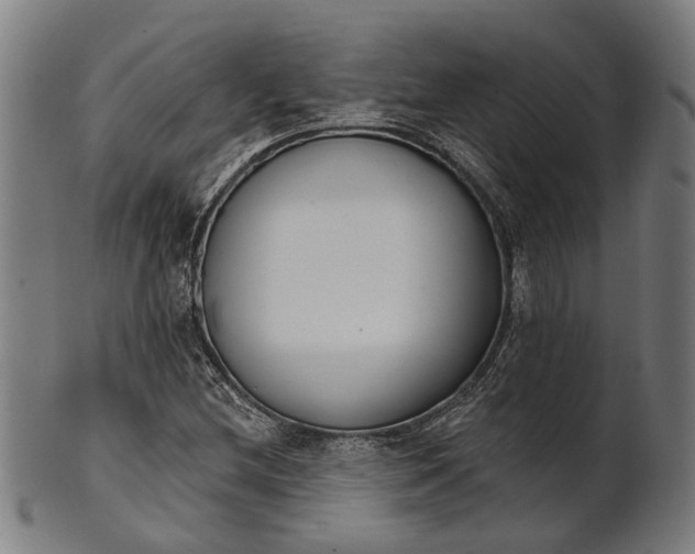 X0000101201212200807111001