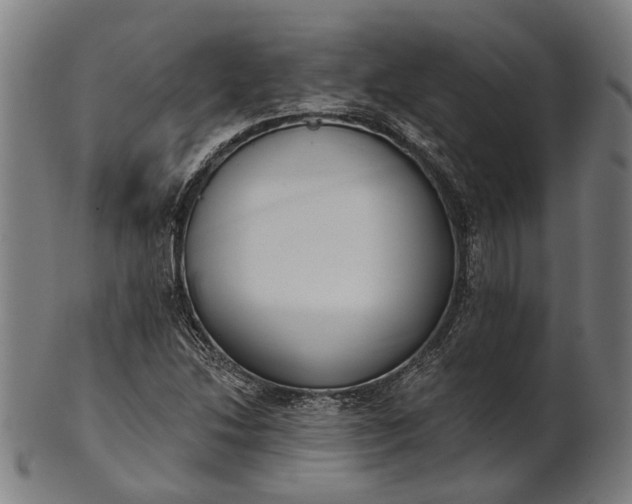 X0000101201214200807111001