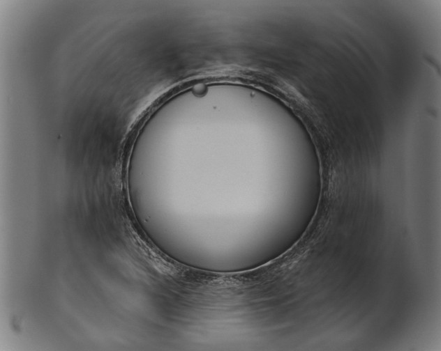 X0000101201216200807111001