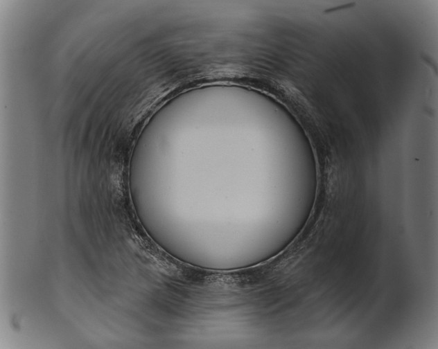 X0000101201217200807111001