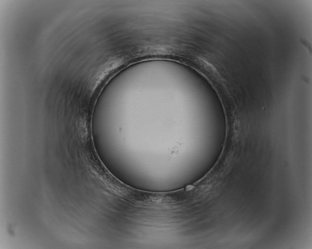 X0000101201218200807111001