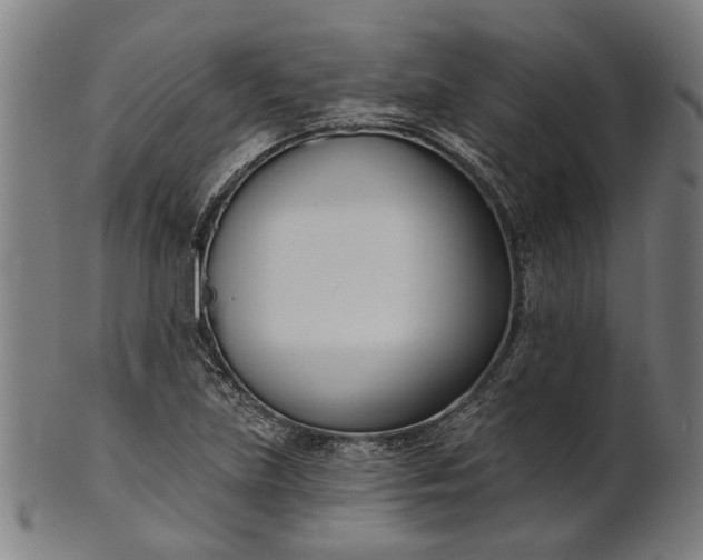 X0000101201219200807111001