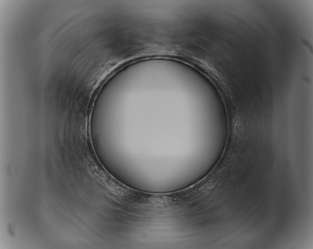 X0000101201220200807111001