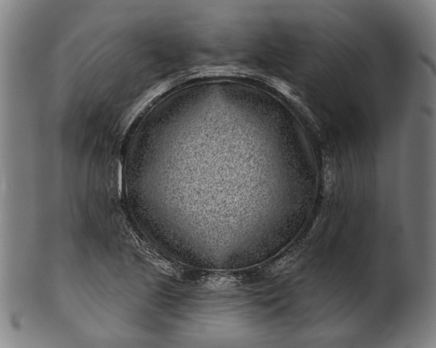 X0000101201221200807111001