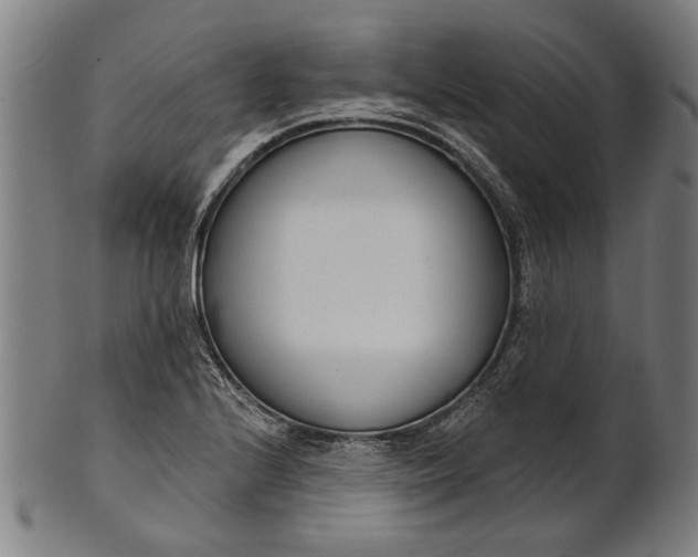 X0000101201224200807111001