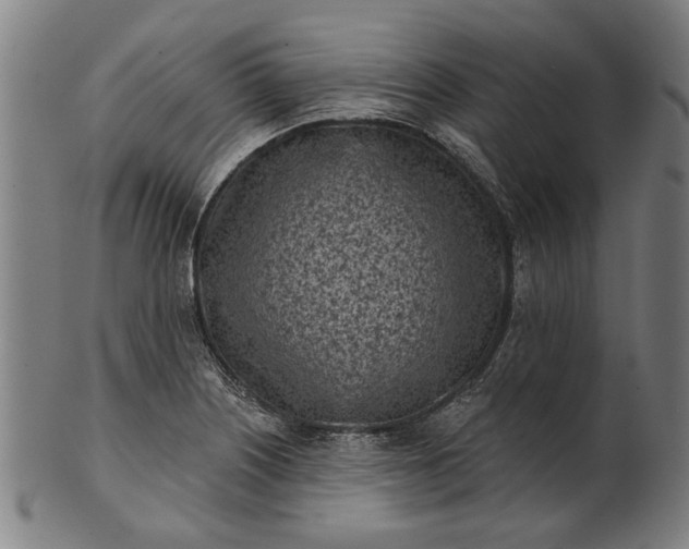 X0000101201226200807111001