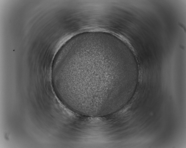 X0000101201231200807111001
