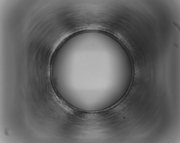 X0000101201232200807111001