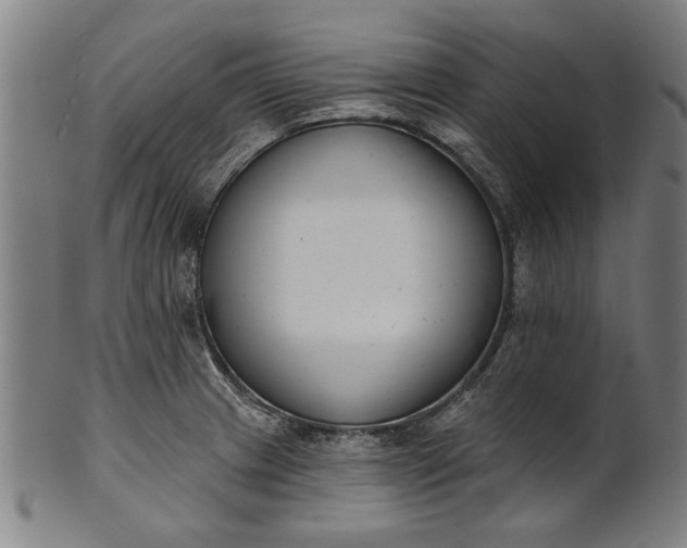 X0000101201233200807111001