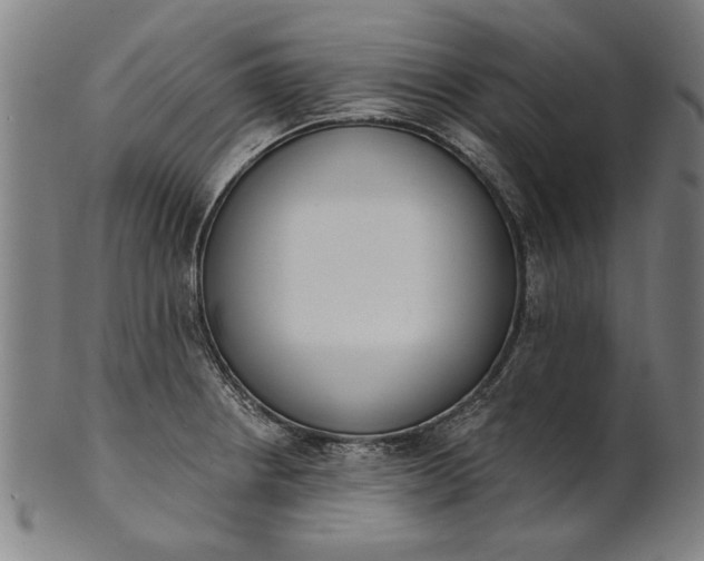 X0000101201234200807111001