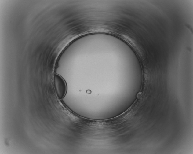 X0000101201236200807111001
