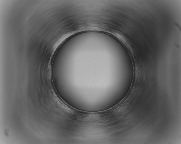 X0000101201238200807111001