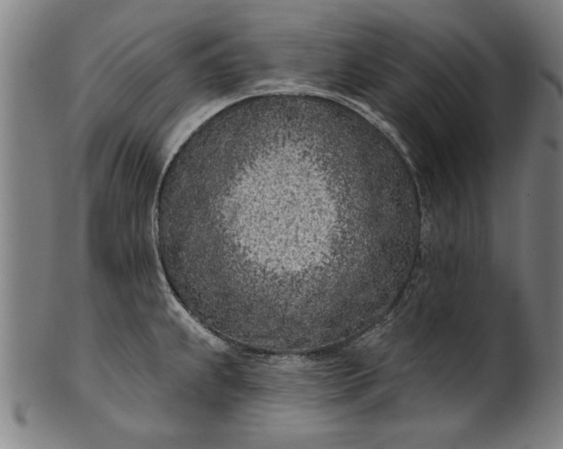 X0000101201239200807111001