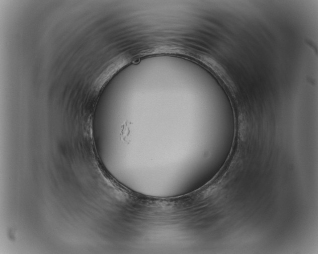 X0000101201241200807111001
