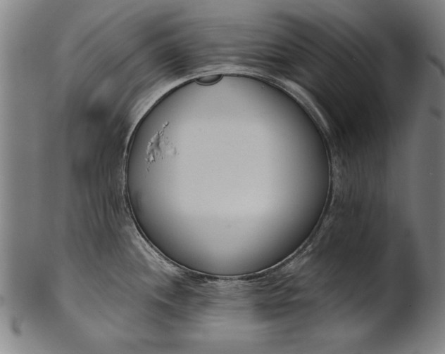 X0000101201244200807111001
